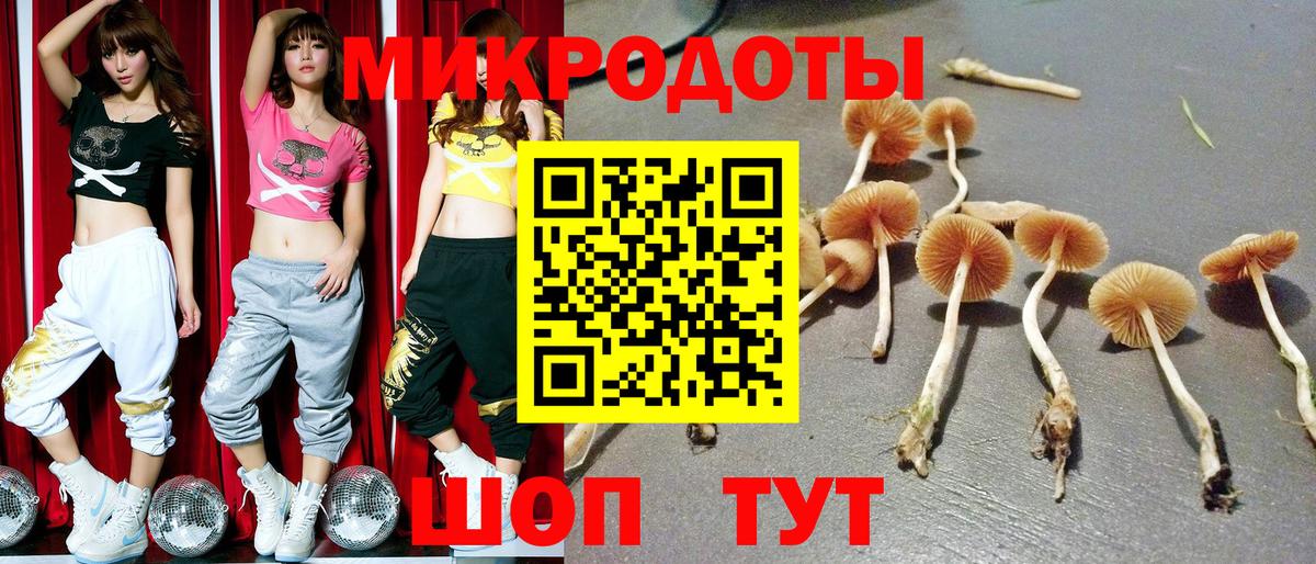 Галлюциногенные грибы прущие грибы Камень-на-Оби