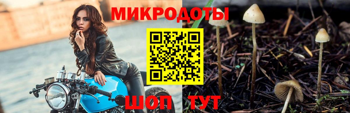 Псилоцибиновые грибы Cubensis  Вход с VPN  купить наркотики цена  Камень-на-Оби 
